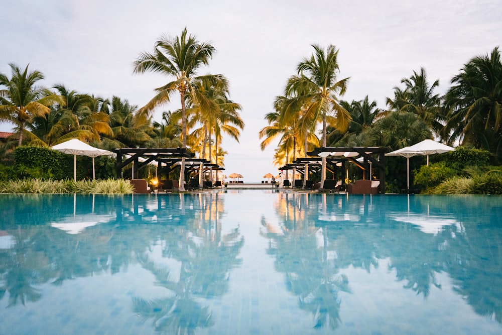 green palm trees near swimming pool during daytime