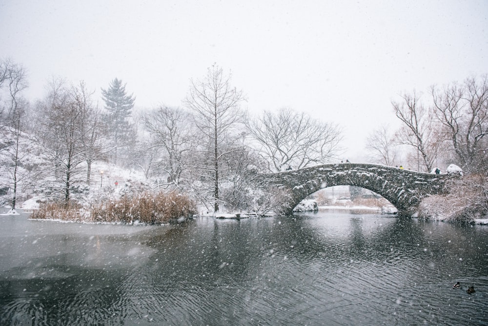 body of water near bridge during daytime