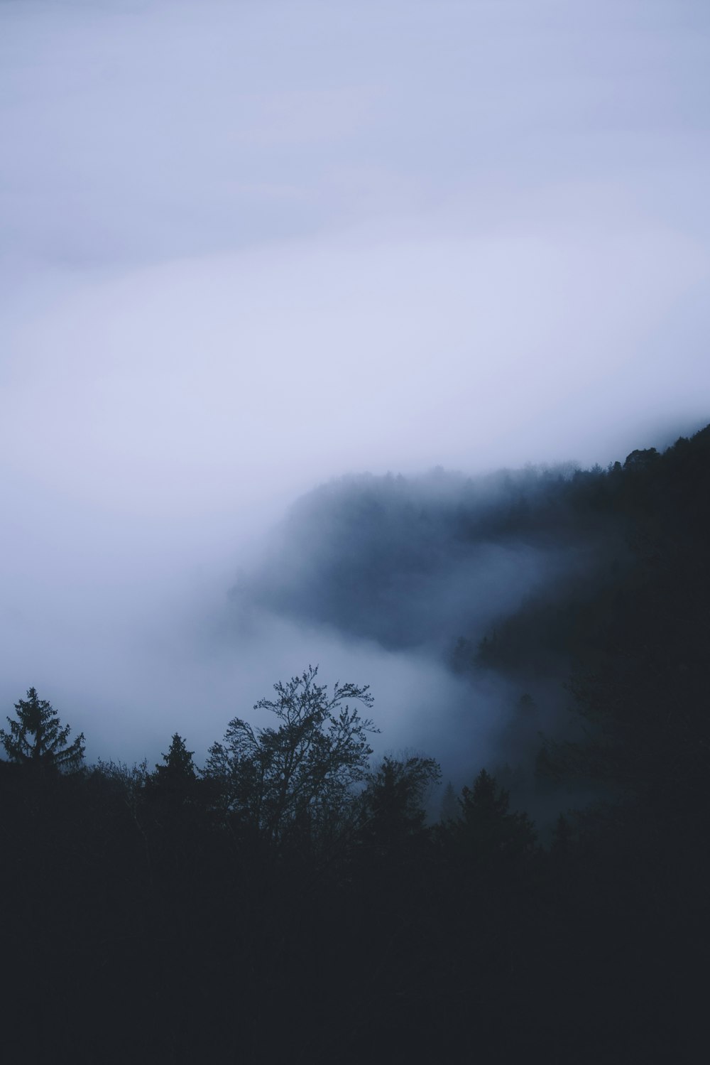 green trees under white clouds