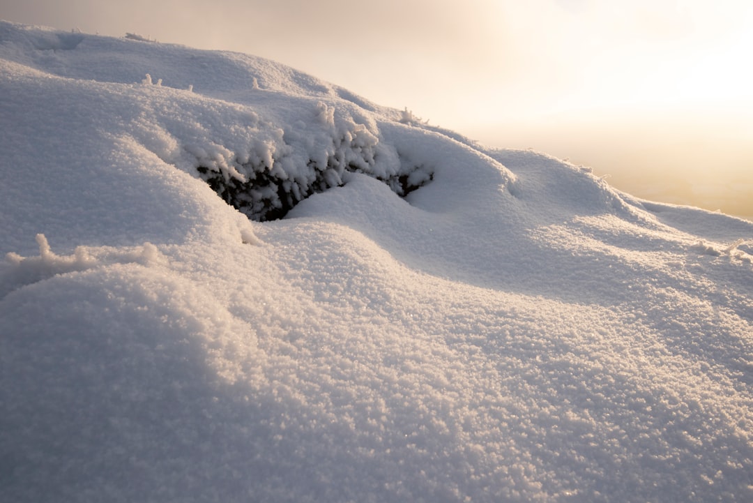 snow covered field during daytime