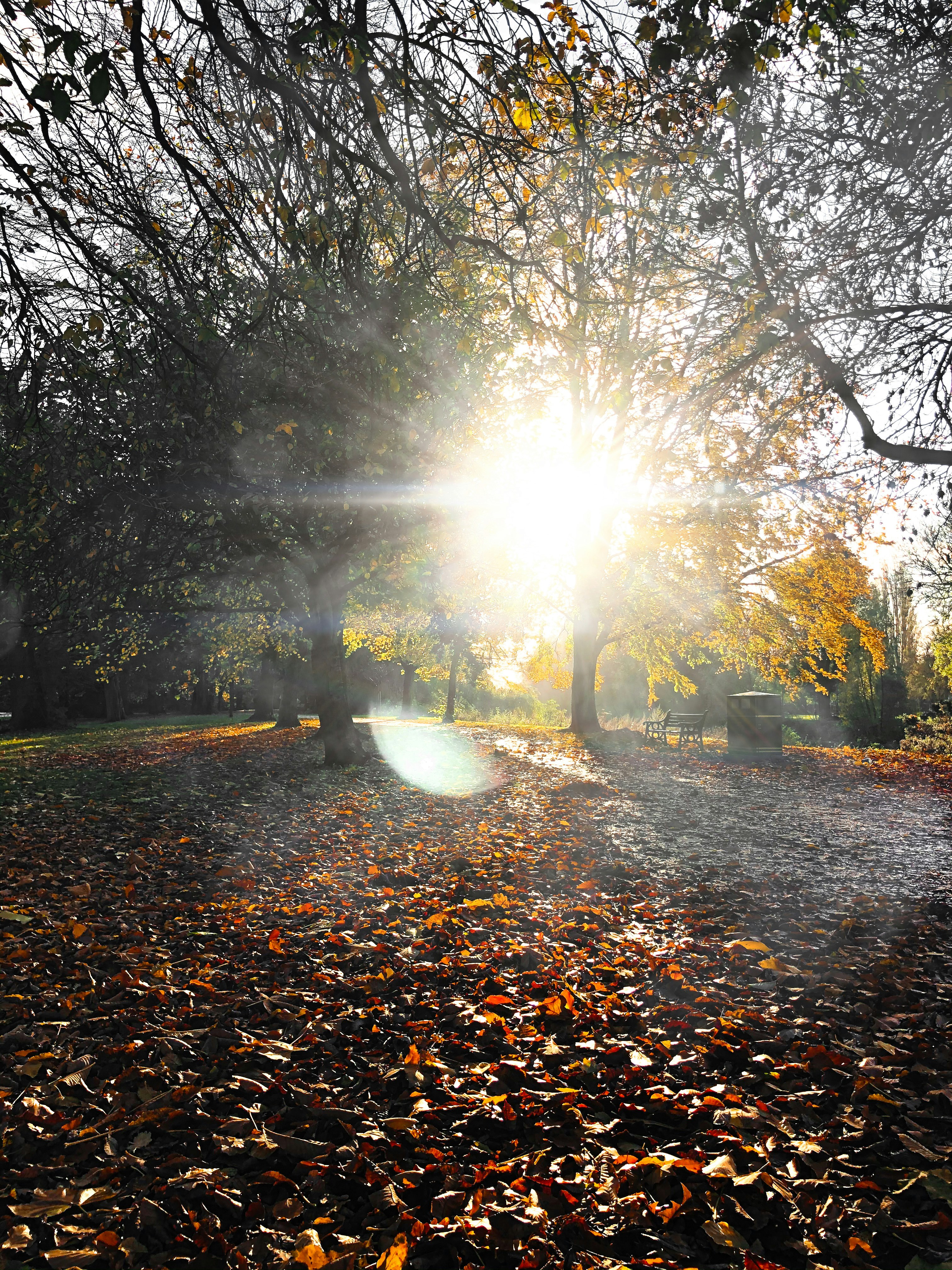 Photo by northvisuals