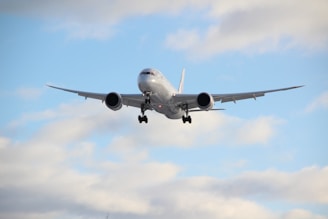 Zipair, El Al, United Airlines, Delta Airlines, Air France, KLM, British Airways