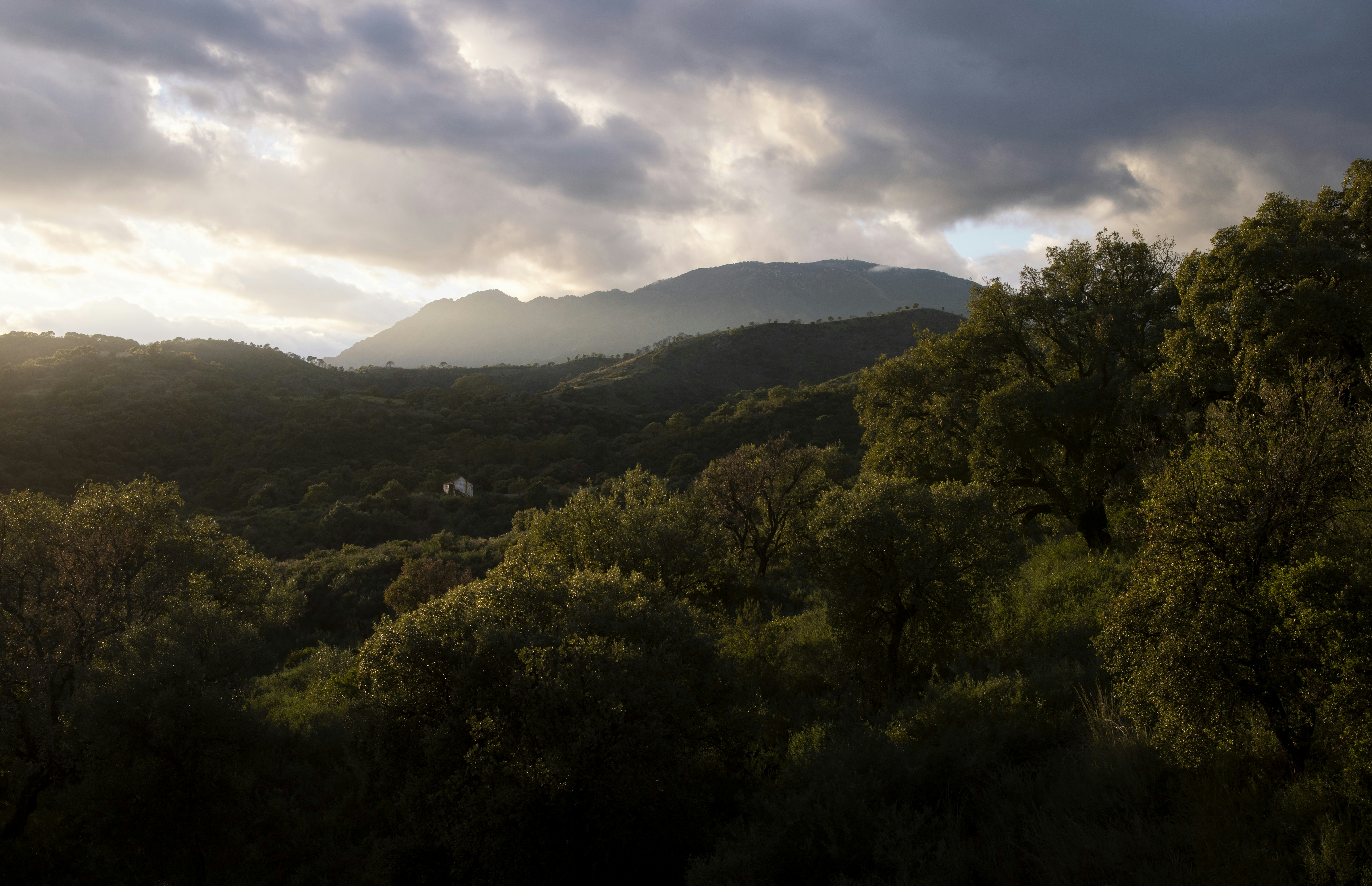 Photo by victor_vector