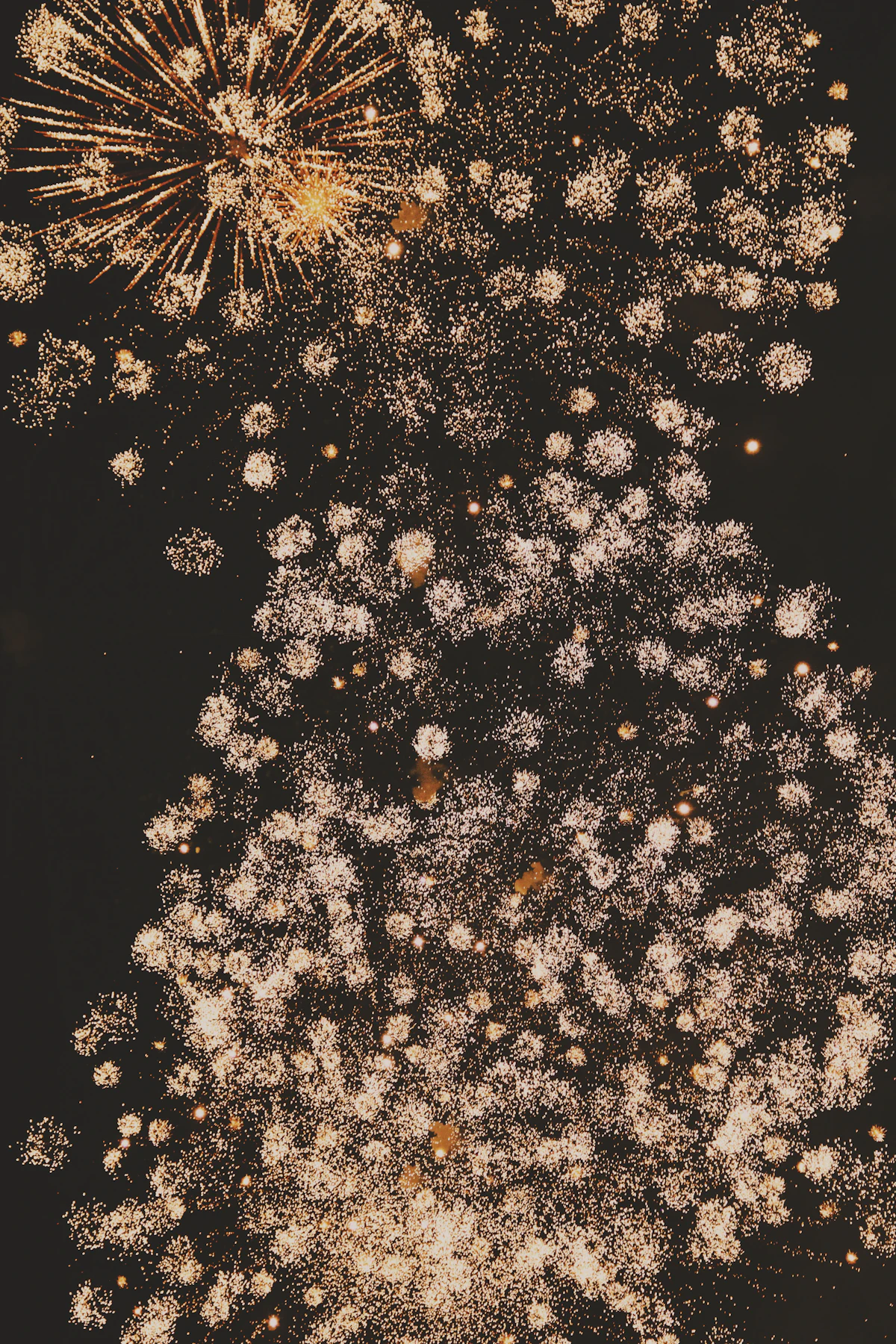 New Year 3
