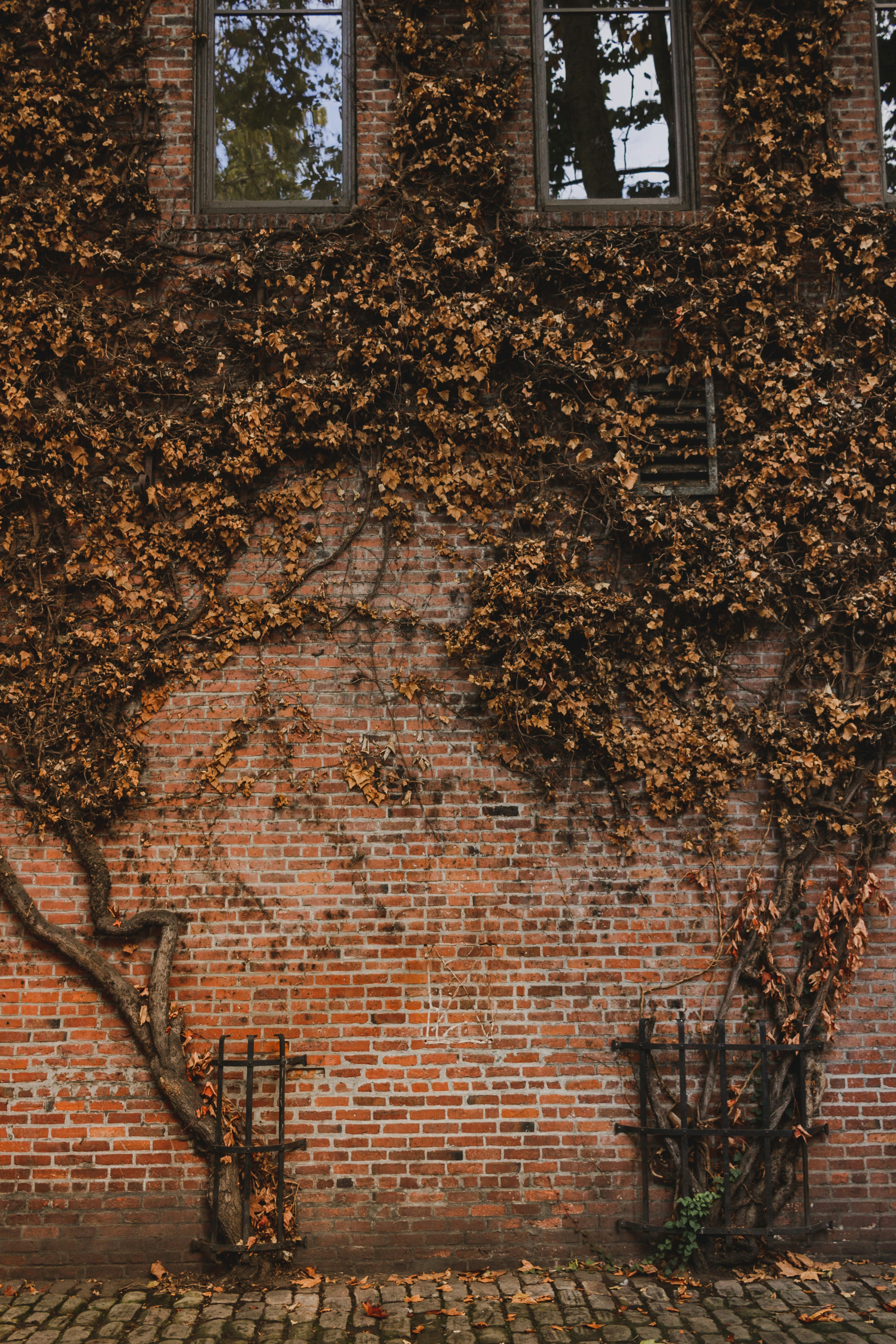 Photo by diofagundes