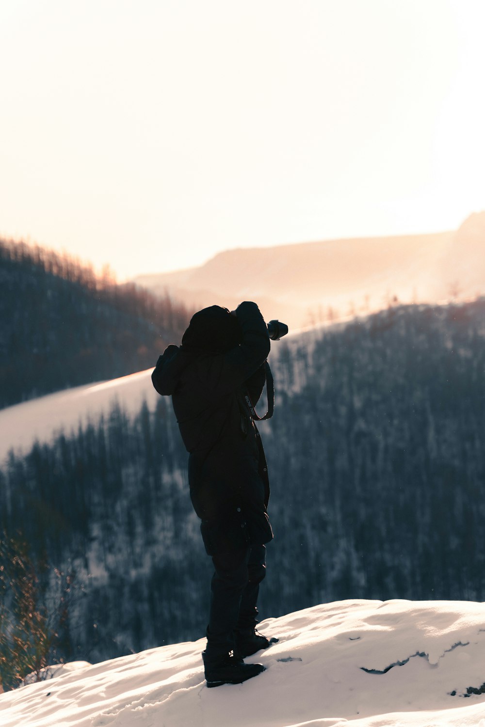 person in black jacket standing on the forest during daytime