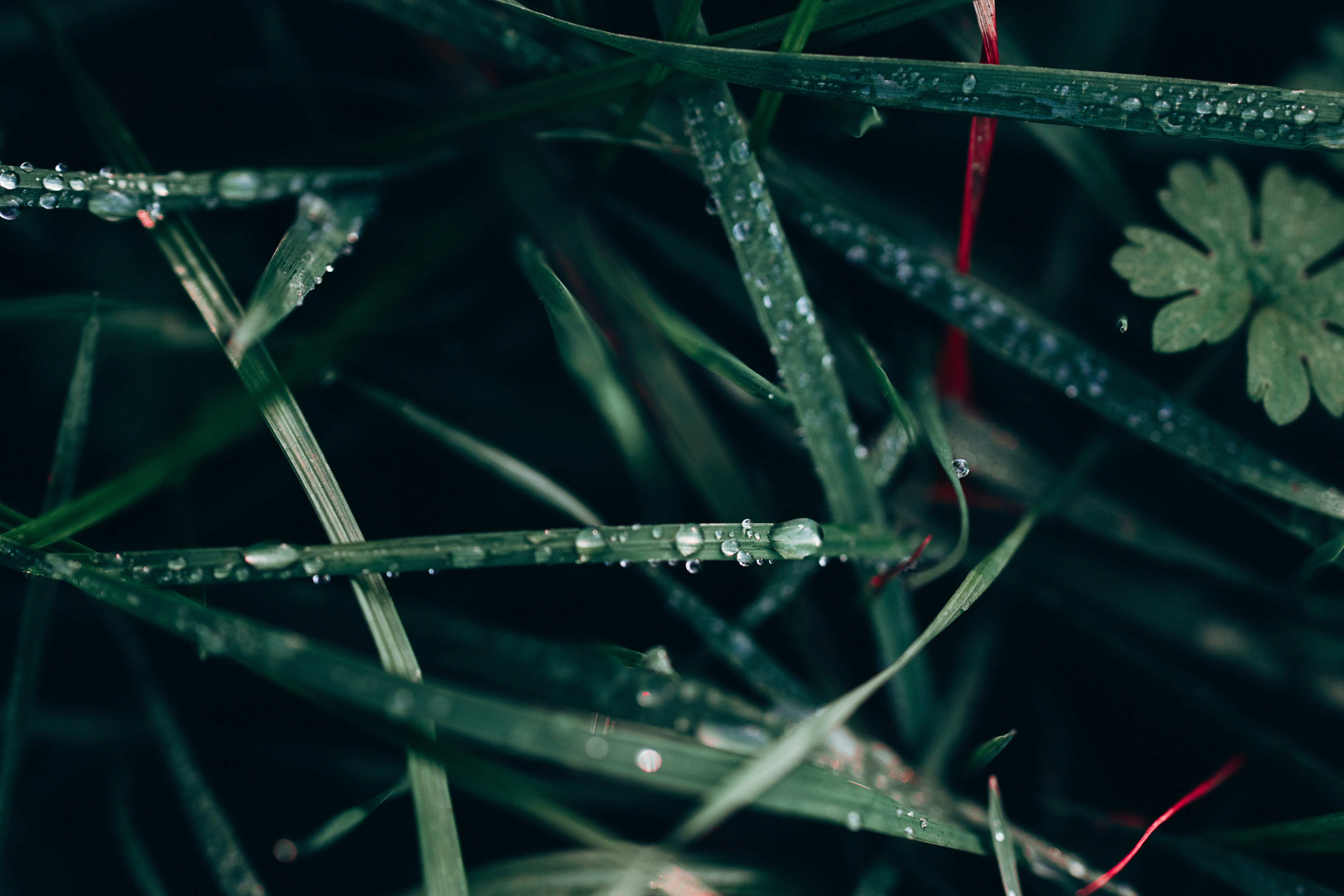 Photo by omarvellous14