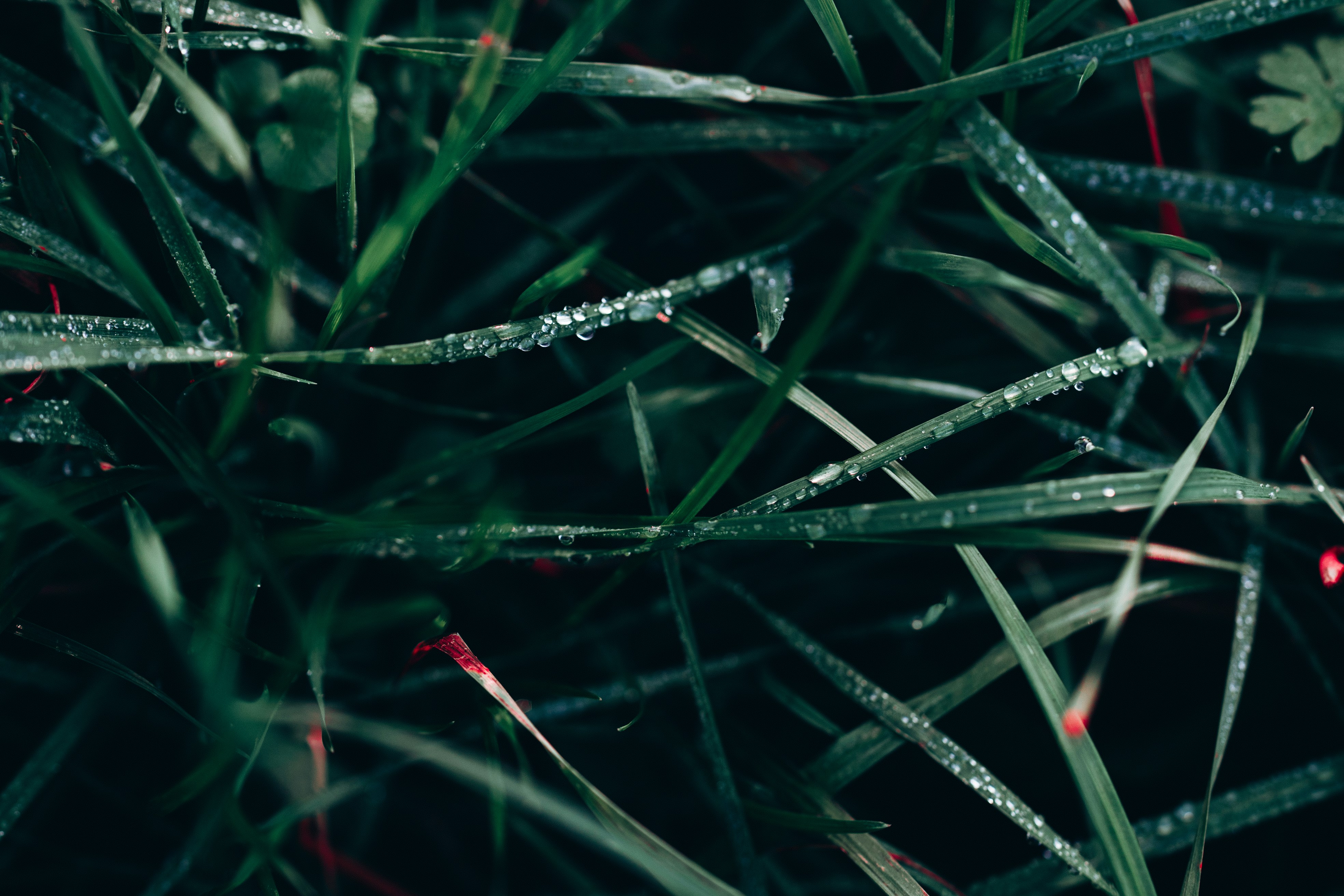 Photo by omarvellous14