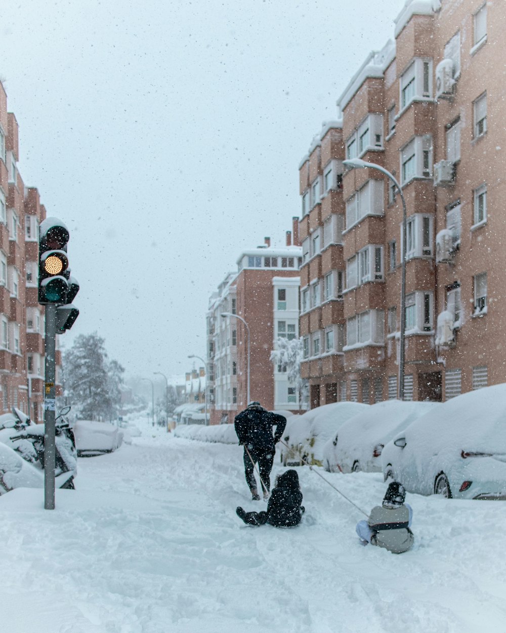 schwarzer Kurzmantelhund tagsüber auf schneebedecktem Boden