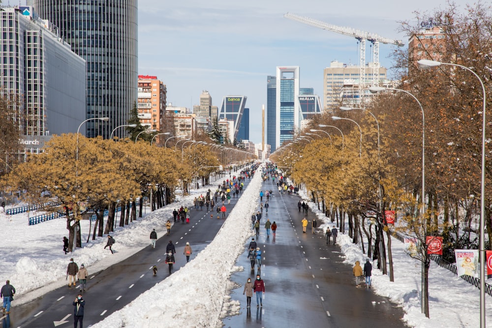 people walking on street during daytime