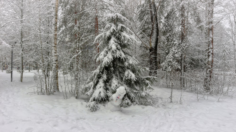 snow covered trees during daytime