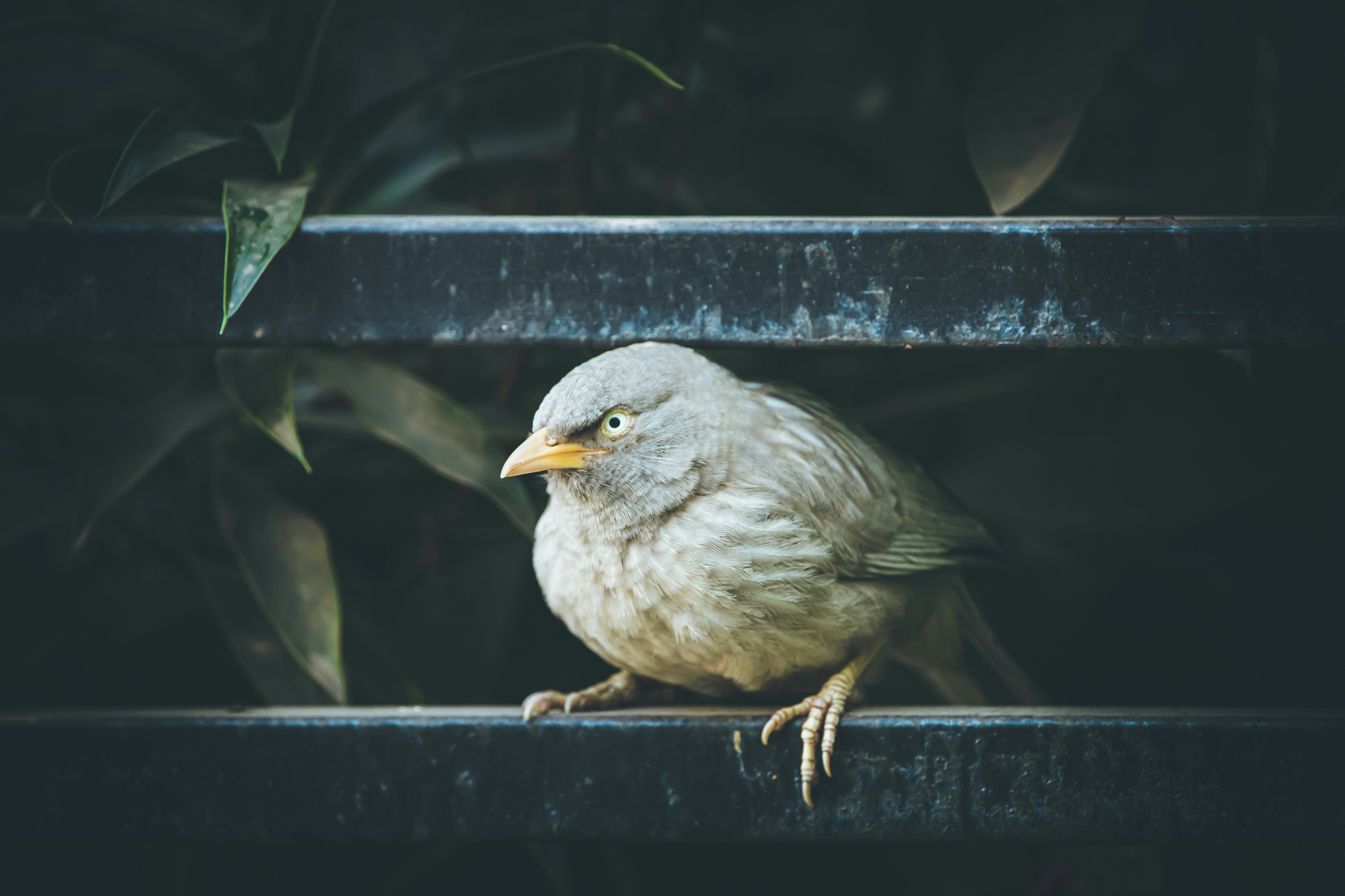 Photo by wildandbeyondbyvivek