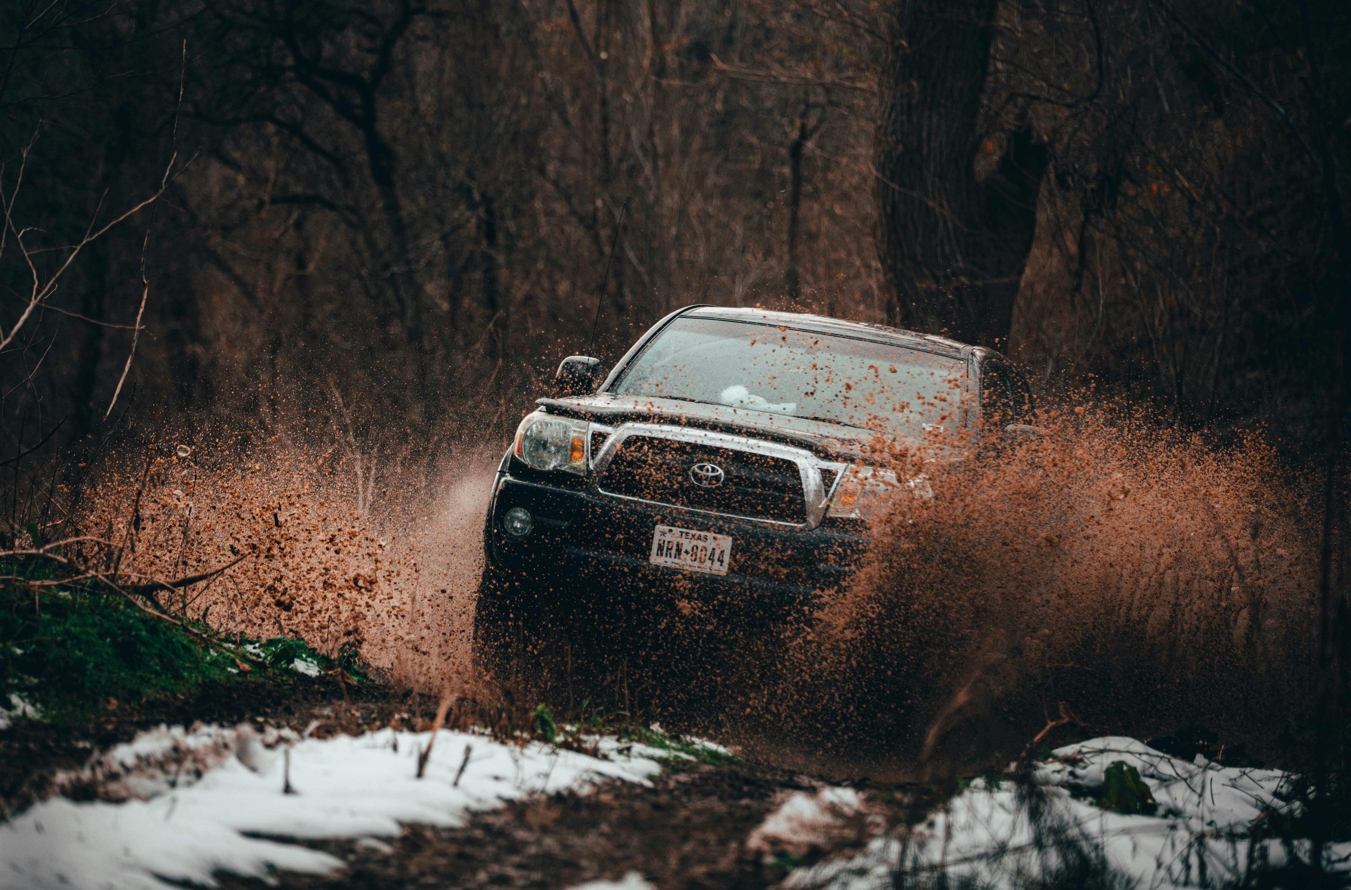 Photo by matthewelancaster