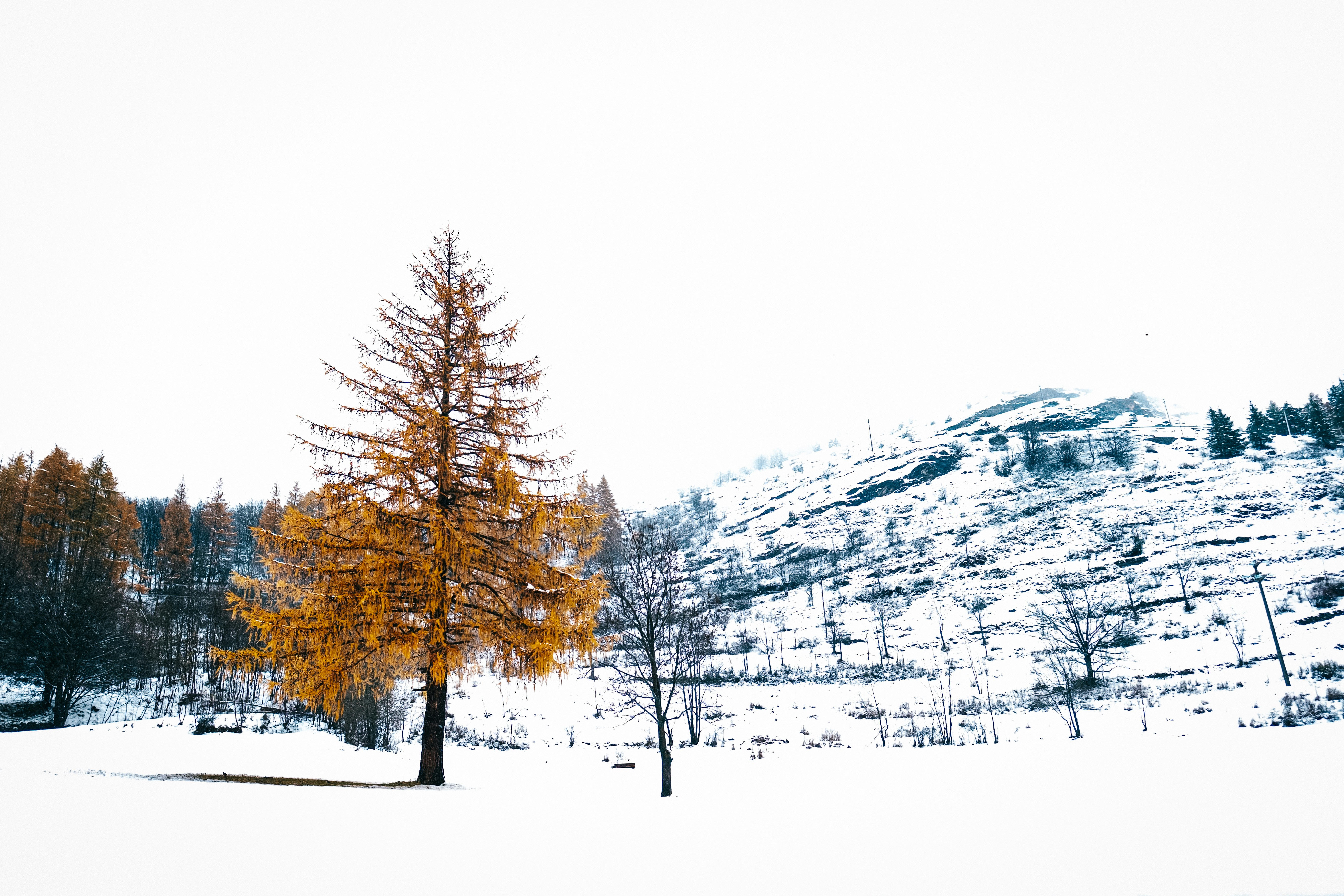 Photo by fabiofistarol