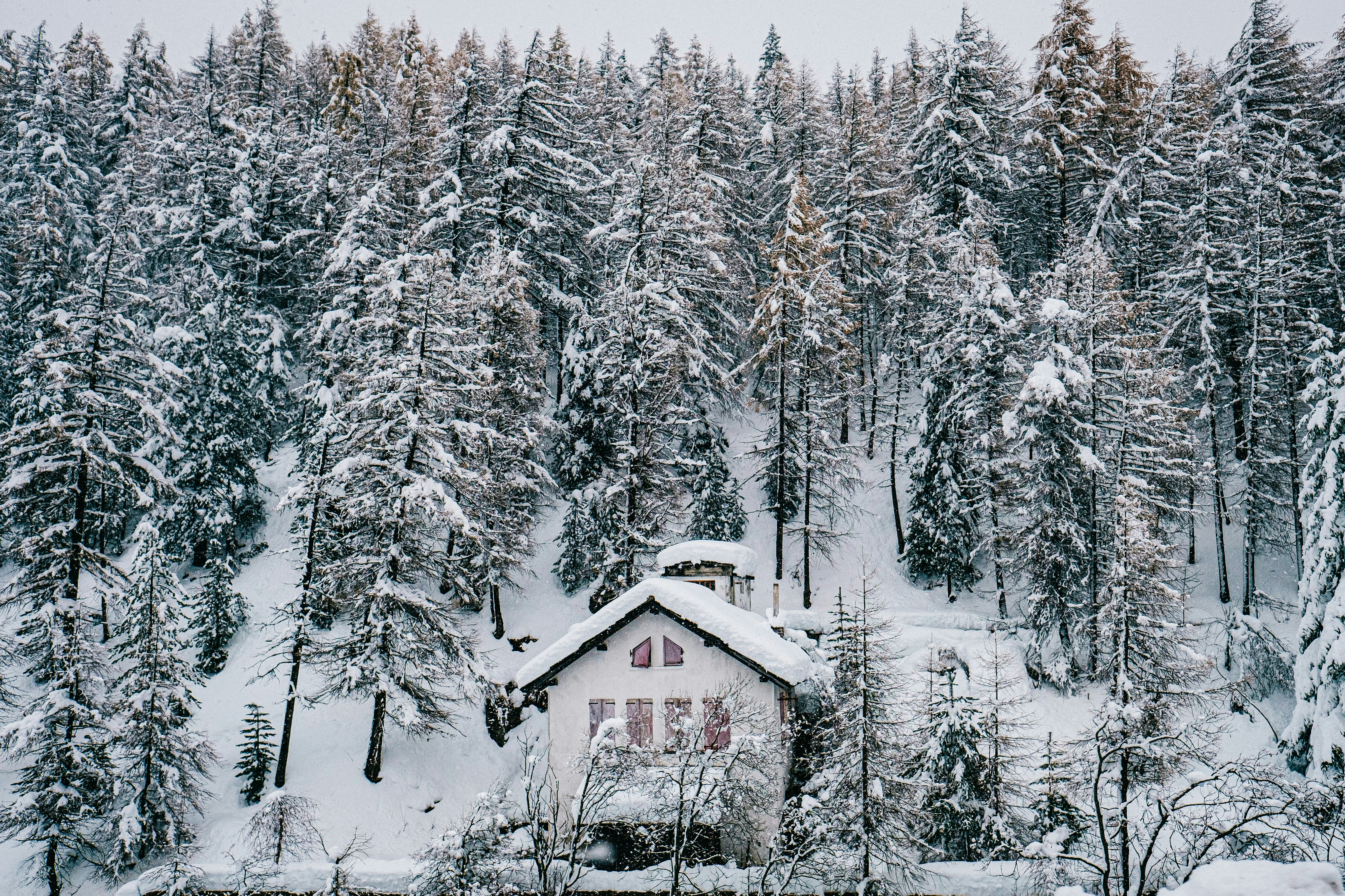 Photo by fabiofistarol