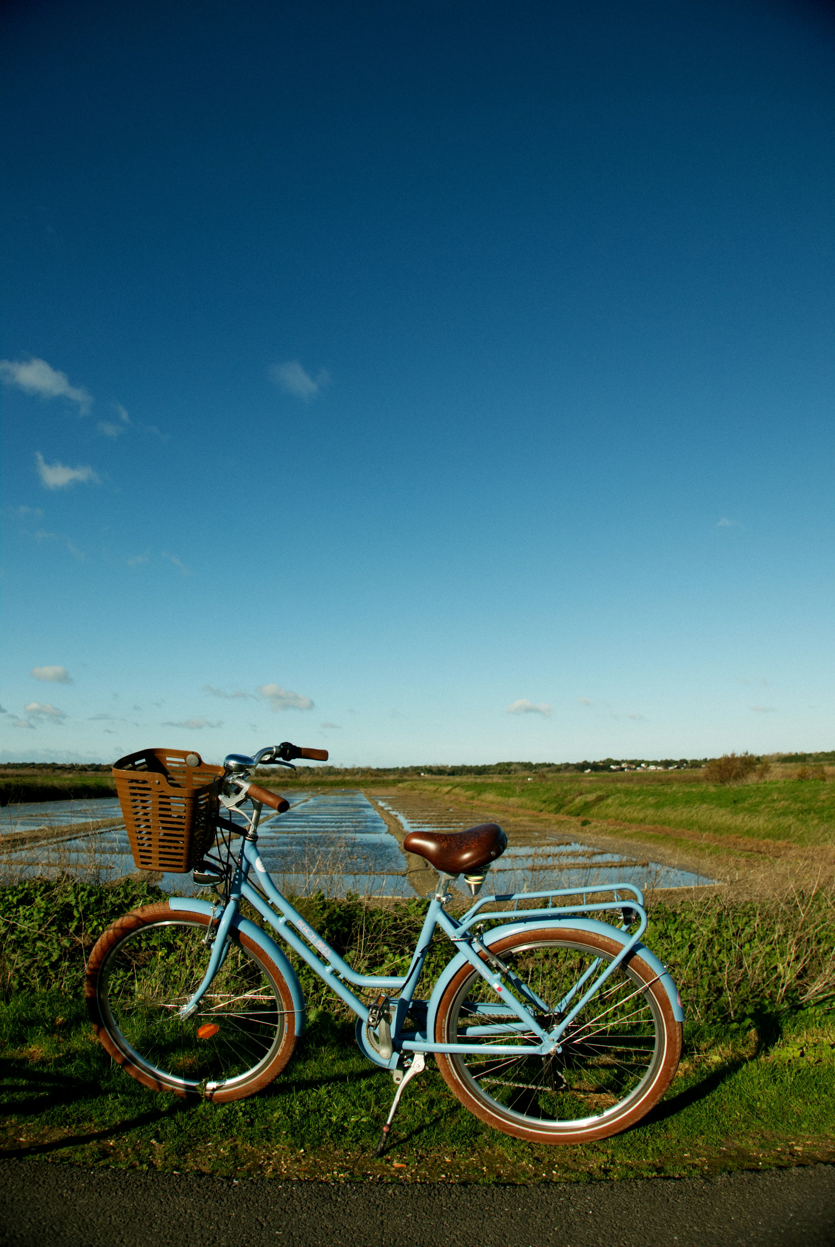 blue city bike on green grass field under blue sky during daytime