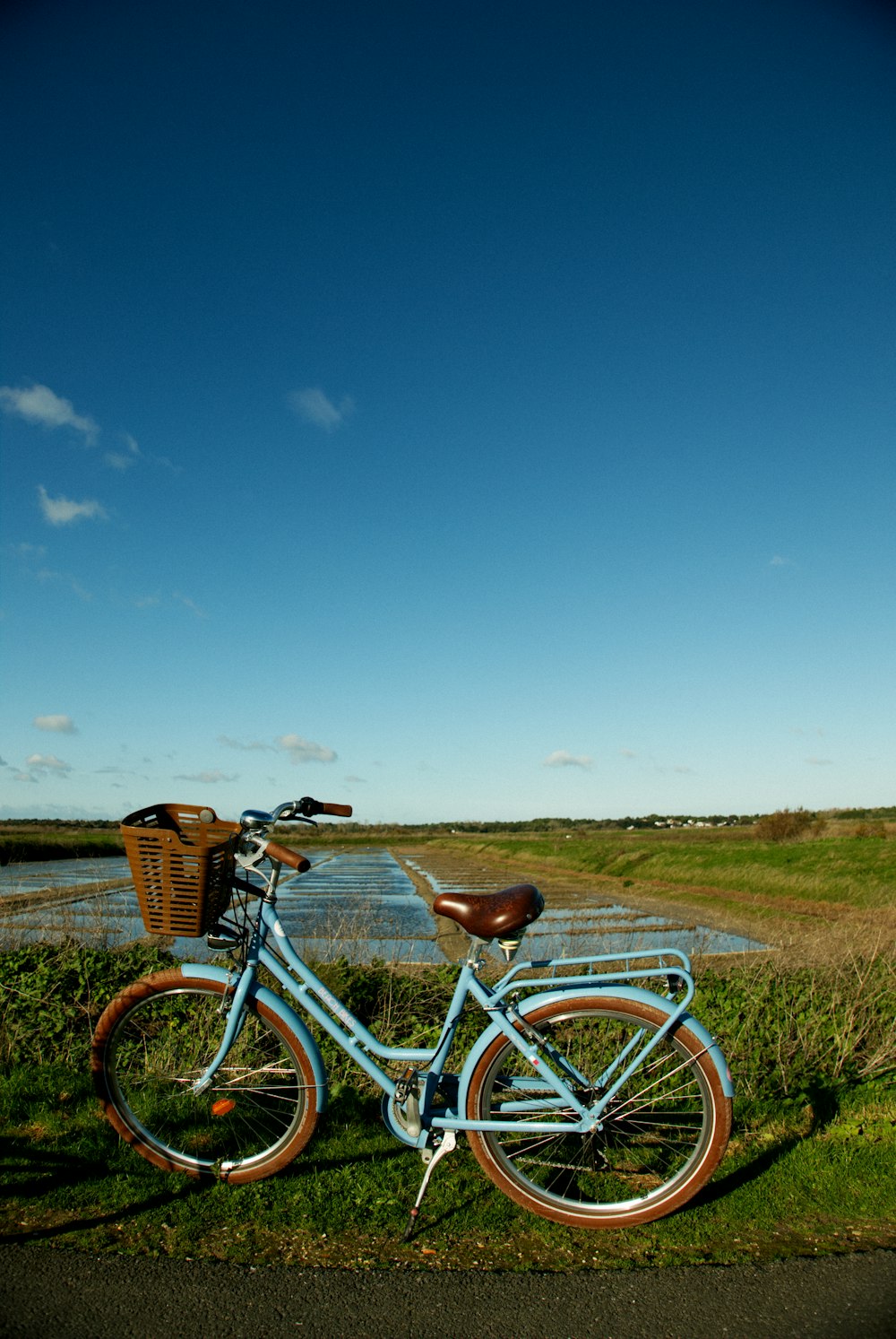 blue city bike on green grass field under blue sky during daytime