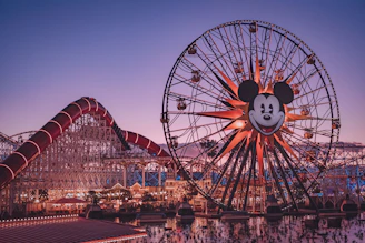ferris wheel under blue sky during daytime