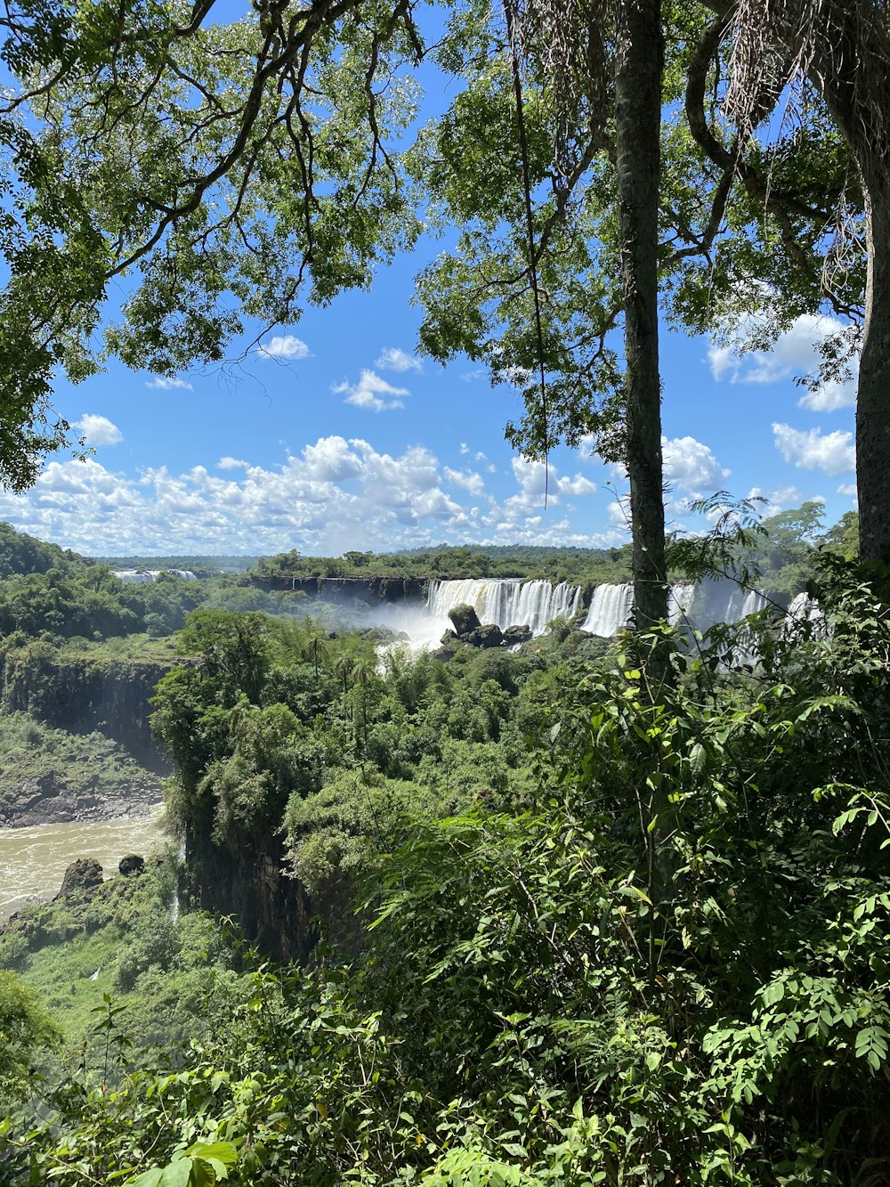 Grüne Bäume in der Nähe des Flusses unter blauem Himmel während des Tages