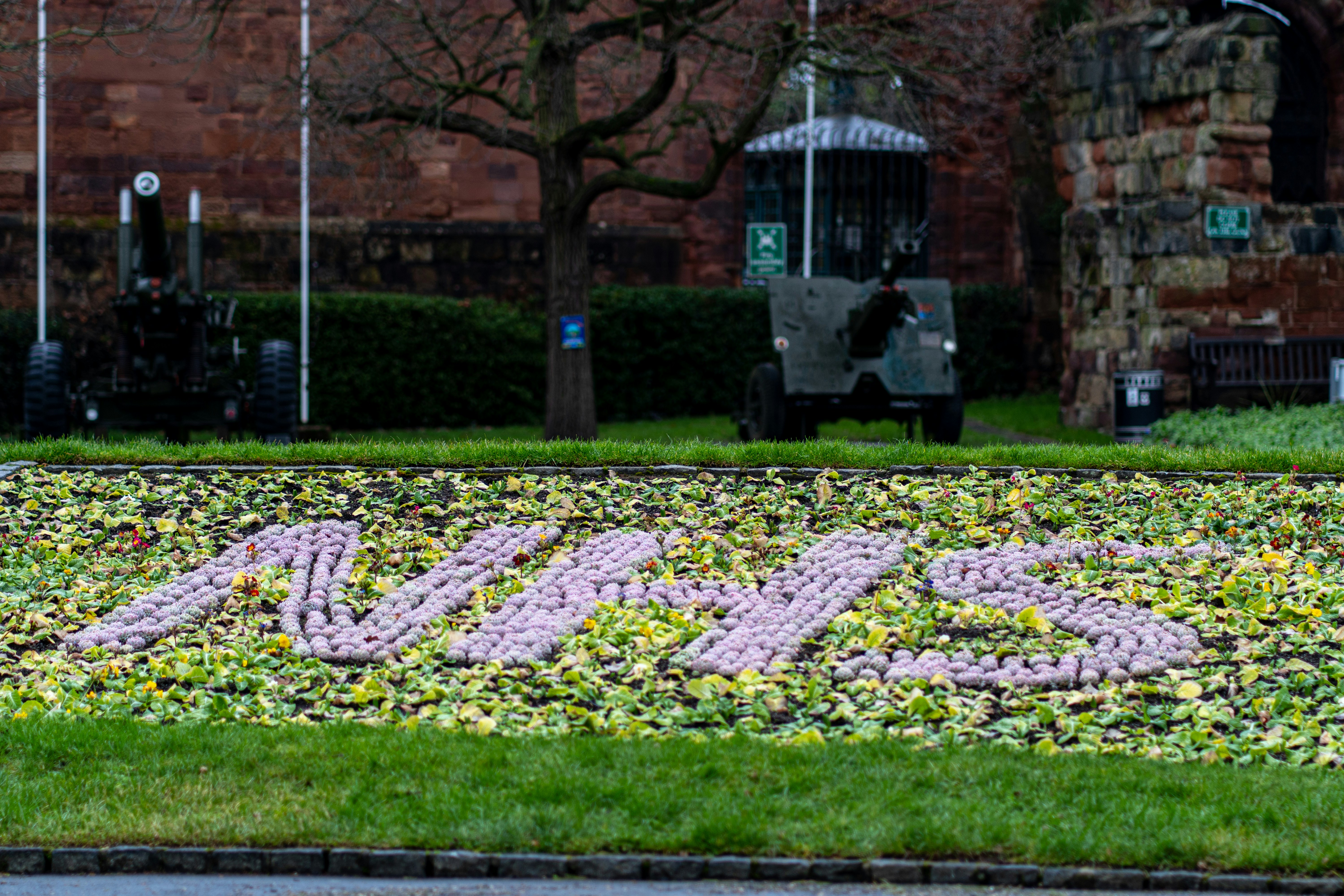 green grass field near brown bare trees during daytime