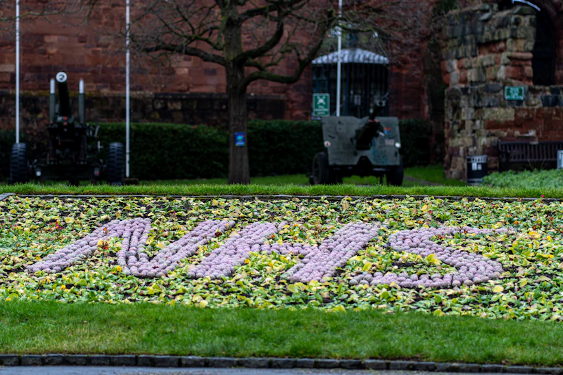 green grass field near brown bare trees during daytime
