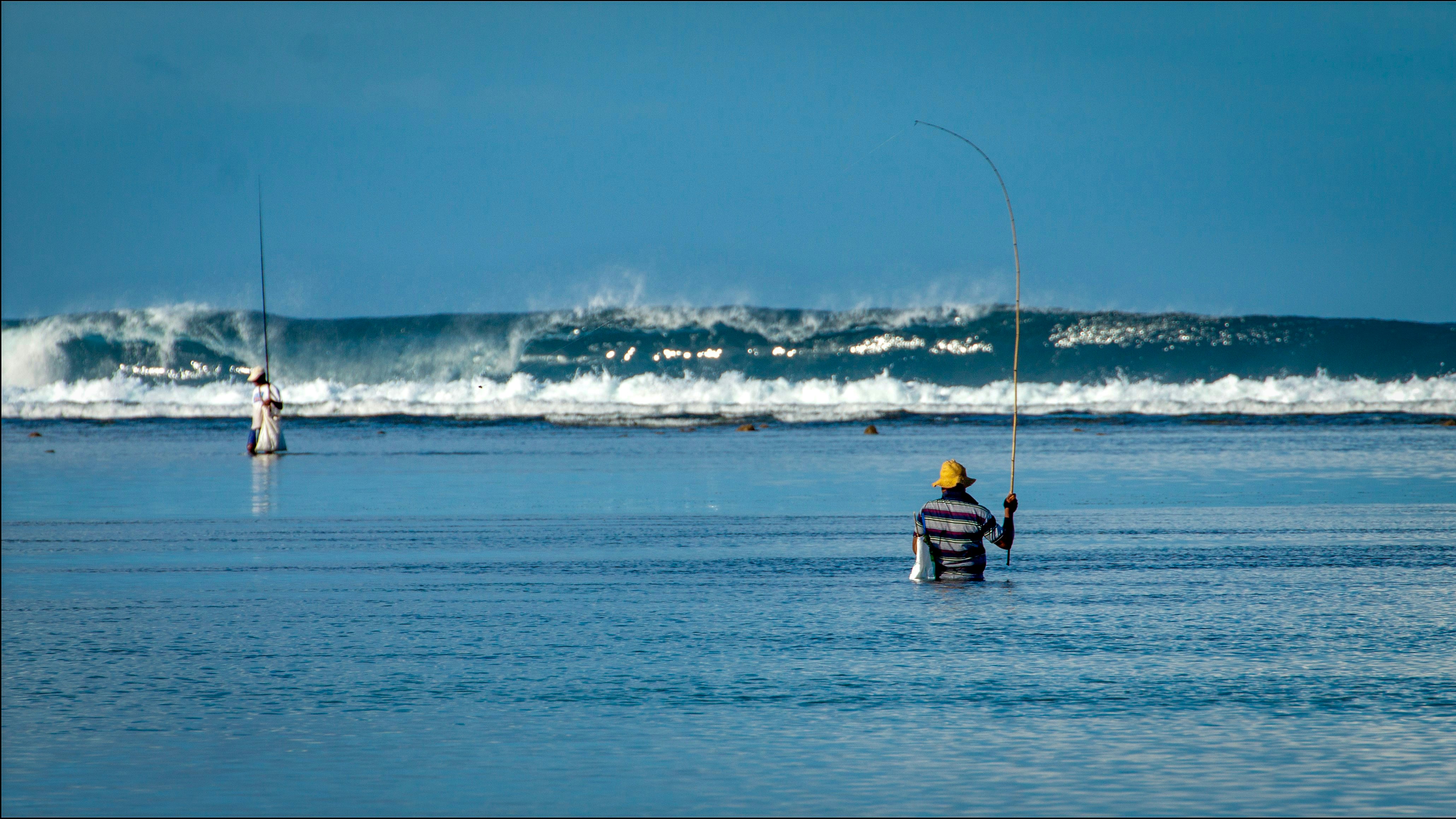 Sinner Defends Australian Open Title with Dominating Win over Zverev