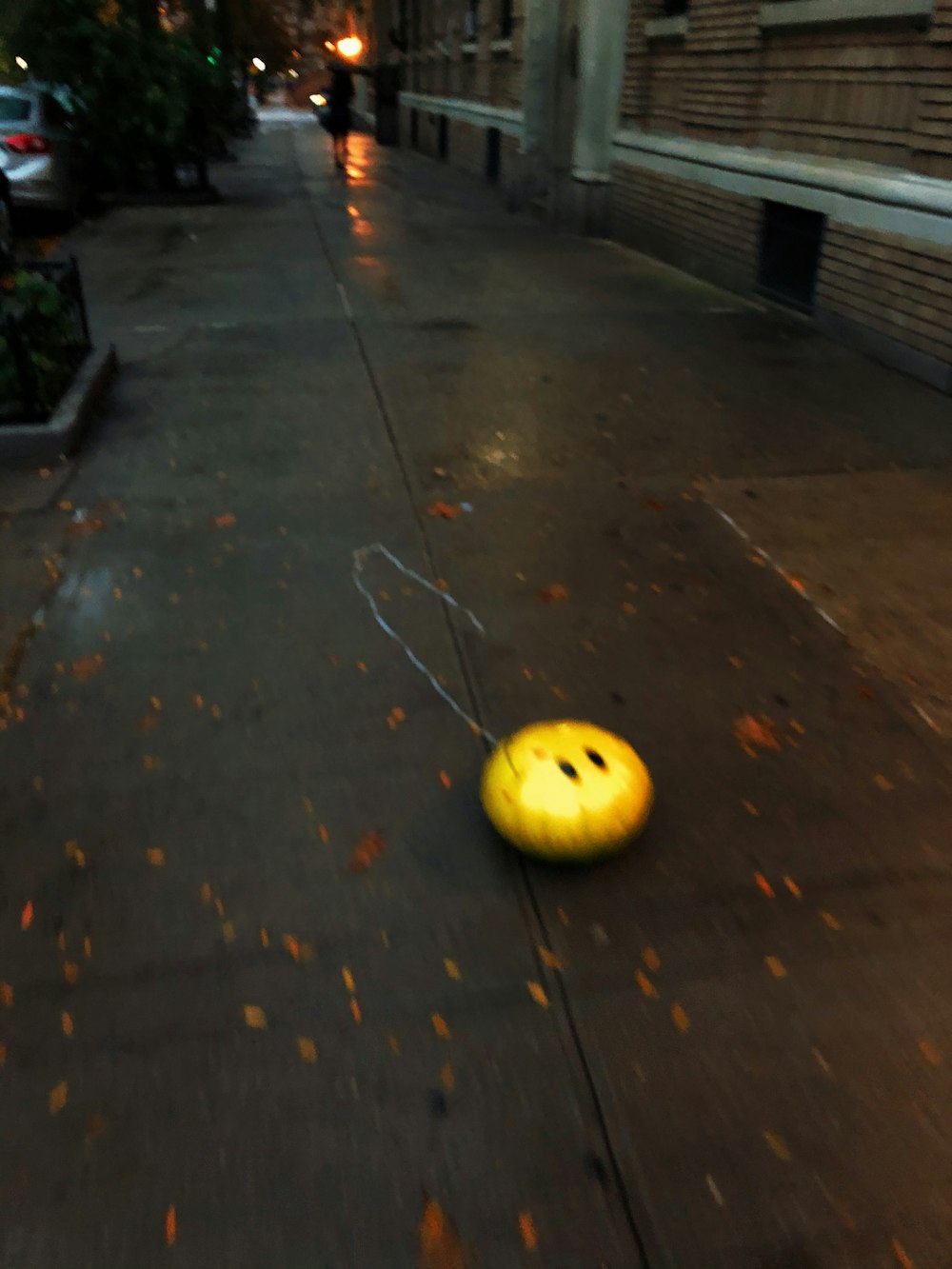 yellow round fruit on gray concrete floor