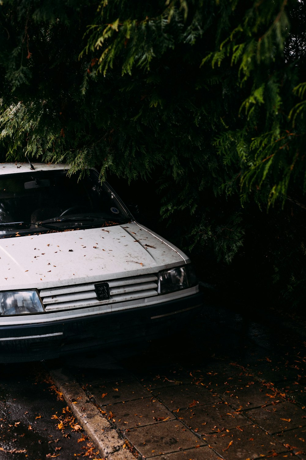 white car parked beside green trees during daytime