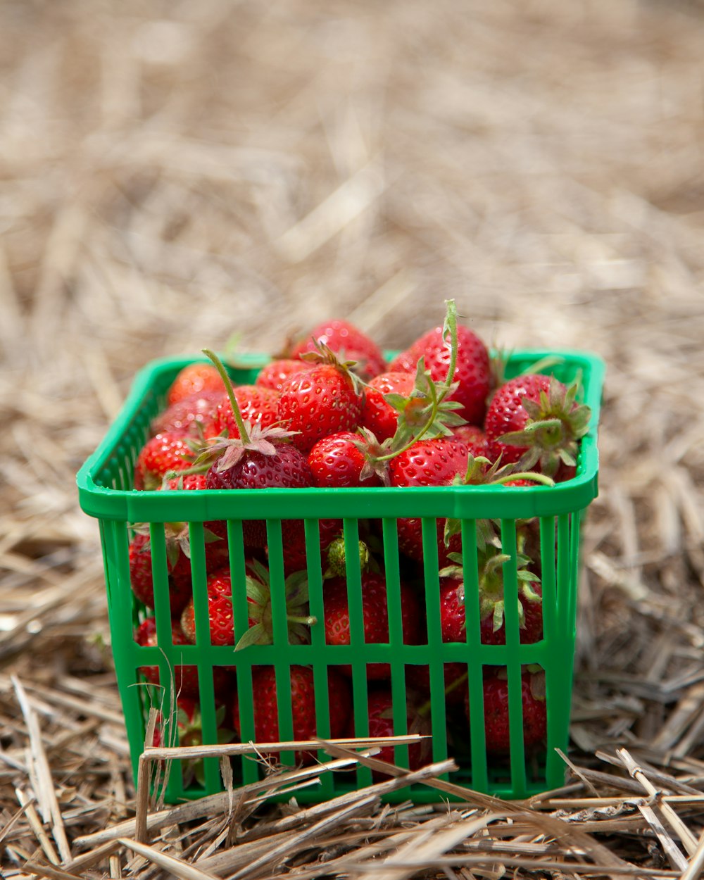 red strawberries in blue plastic basket