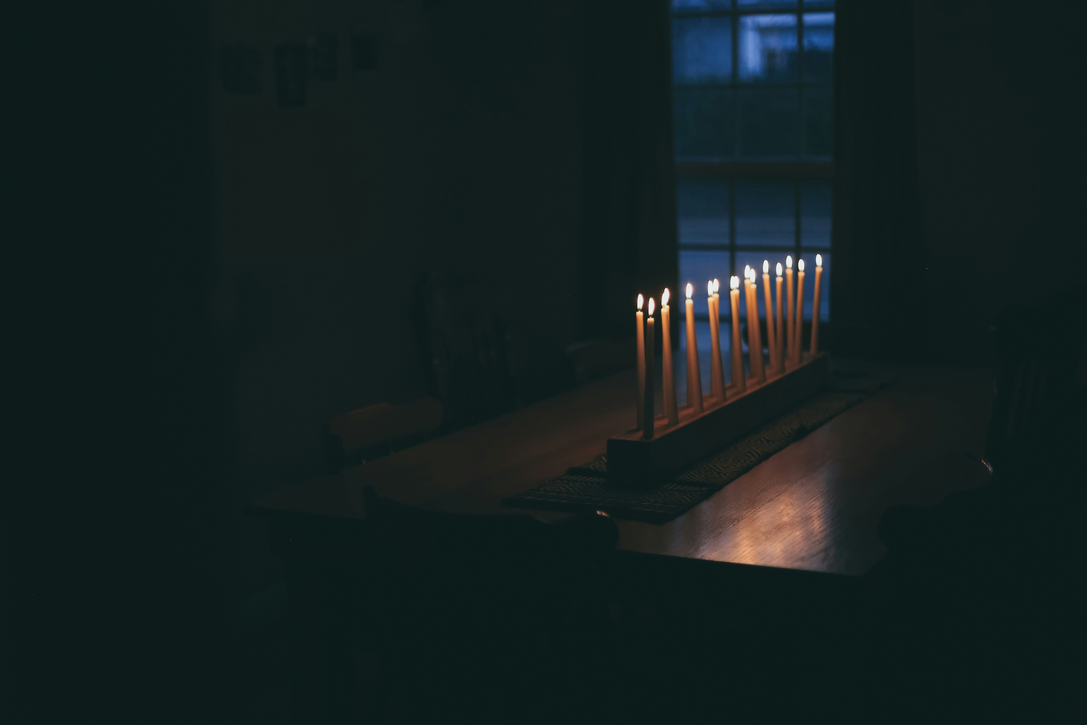 Photo by jessicalfadel