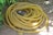A coiled yellow garden hose is lying on the ground surrounded by some green foliage. The hose is neatly arranged in circular loops. The soil in the background is dry and there are a few scattered leaves nearby.