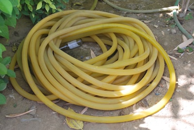 A coiled yellow garden hose is lying on the ground surrounded by some green foliage. The hose is neatly arranged in circular loops. The soil in the background is dry and there are a few scattered leaves nearby.