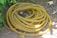 A coiled yellow garden hose is lying on the ground surrounded by some green foliage. The hose is neatly arranged in circular loops. The soil in the background is dry and there are a few scattered leaves nearby.