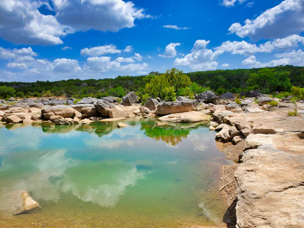 Green trees beside a river representing the Atascosa River near Campbellton Texas