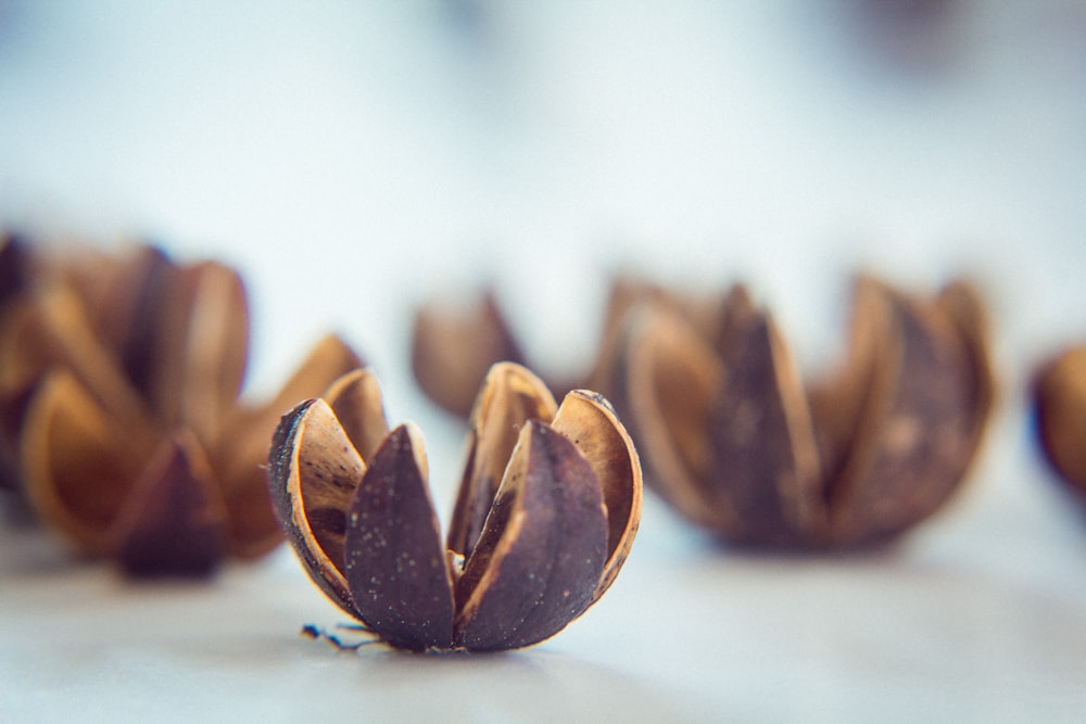 brown nuts on white surface