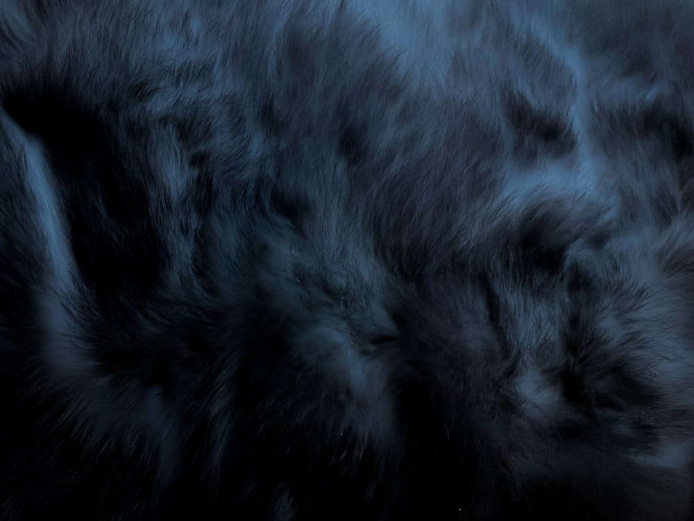 black fur (filtered)  Fur background, Fur texture, Fur aesthetic