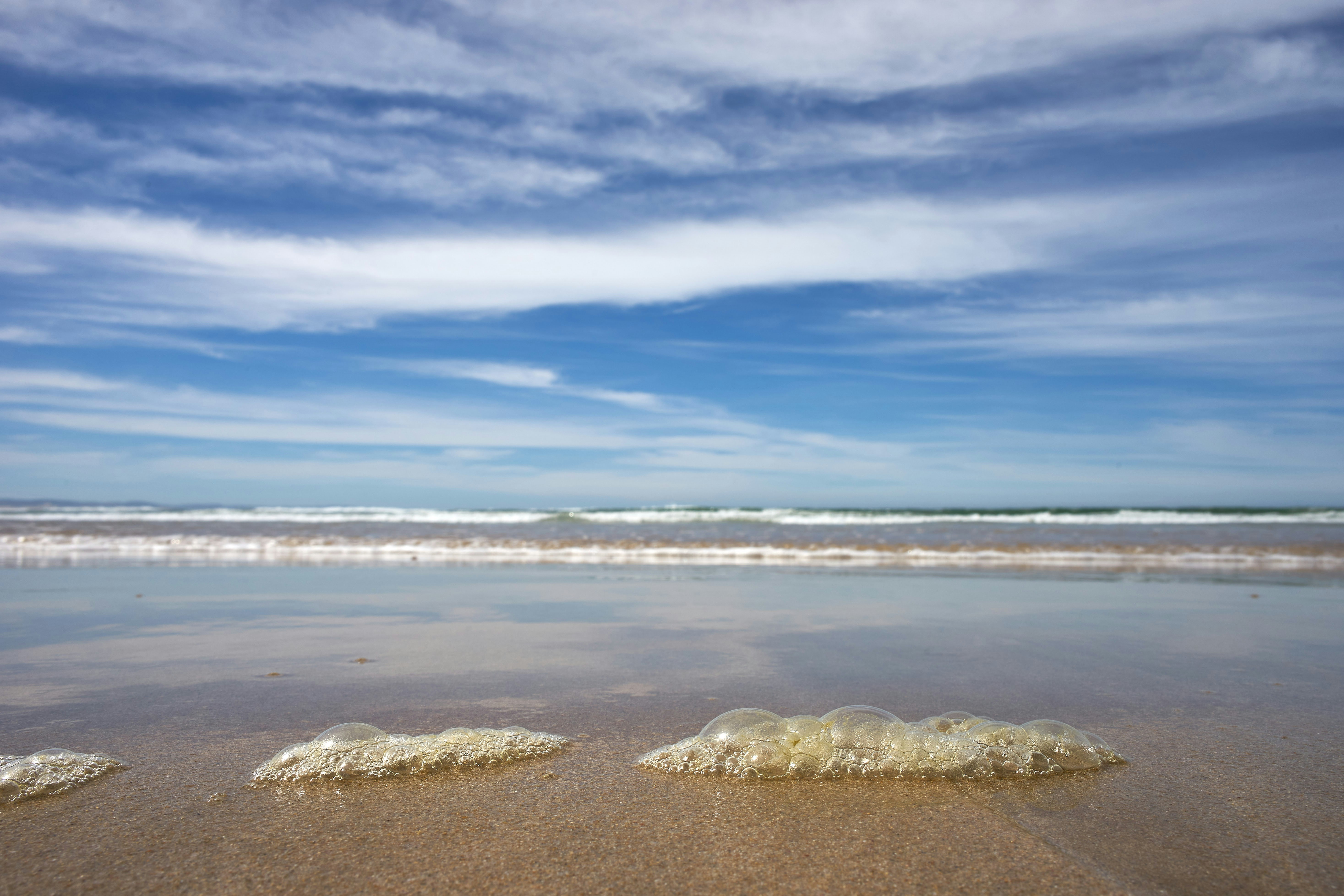 Photo by wolfgang_hasselmann