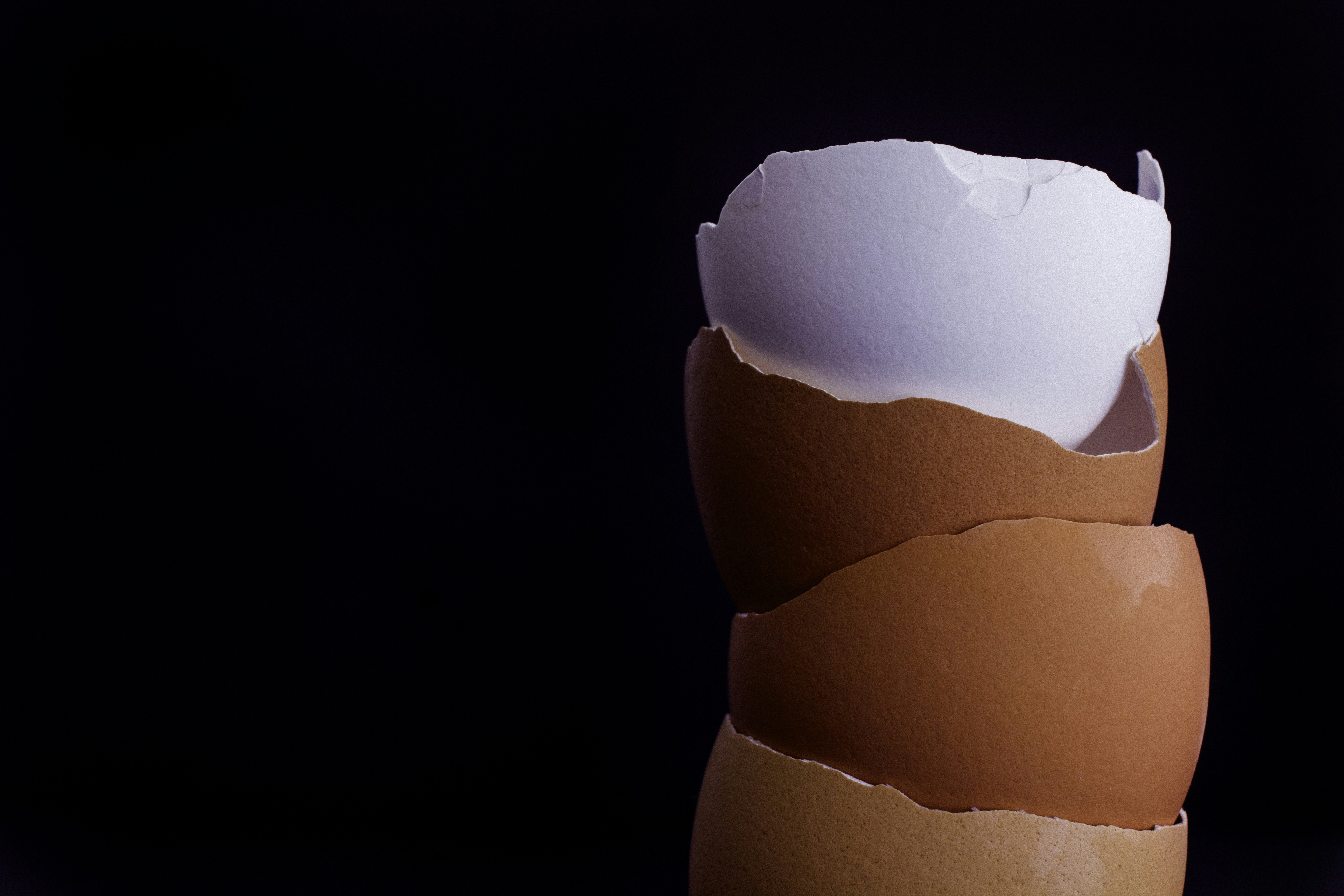 Creative Ways to Use Eggshells in Your Garden