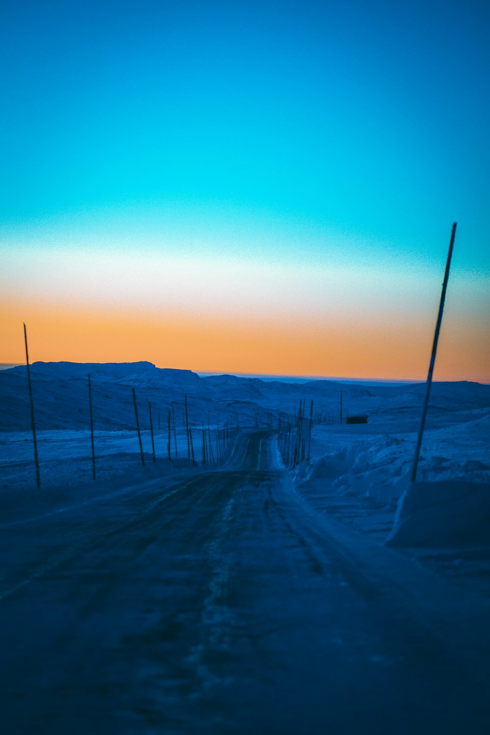 silhouette of trees on snow covered ground during sunset