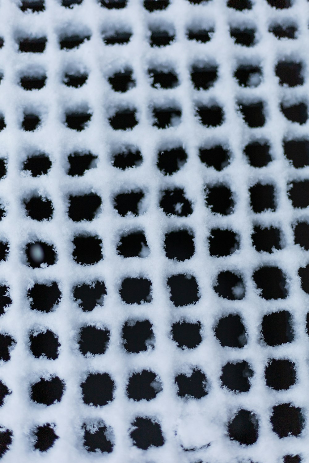 black and white polka dot textile