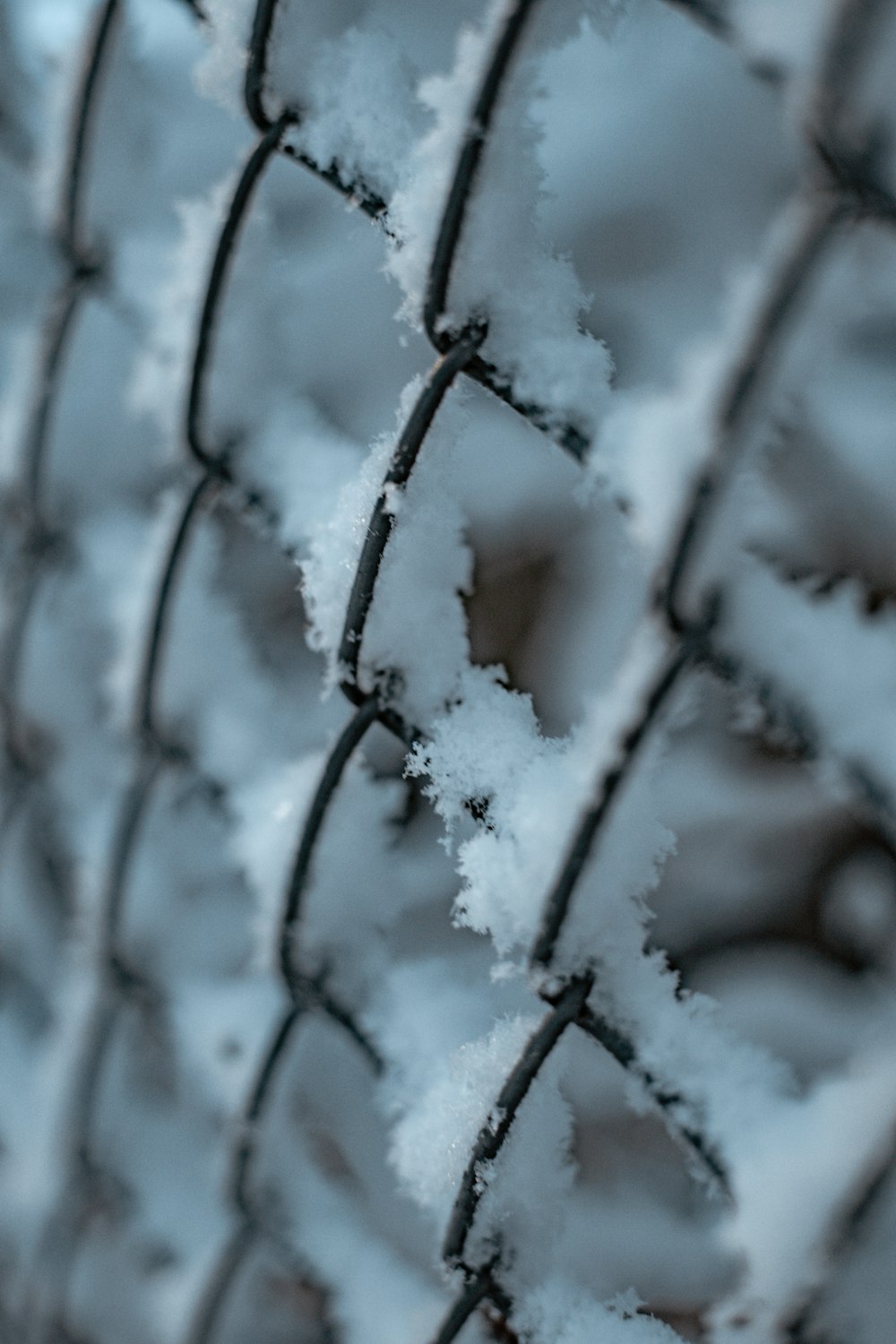 gray metal fence during daytime