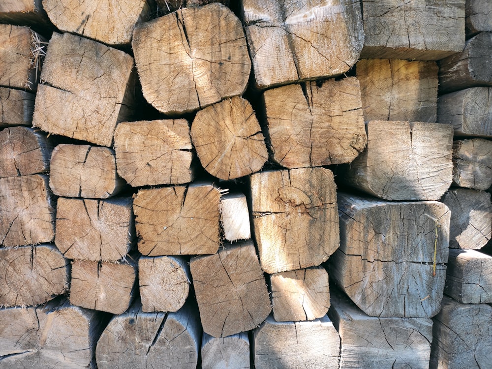 brown wooden logs during daytime