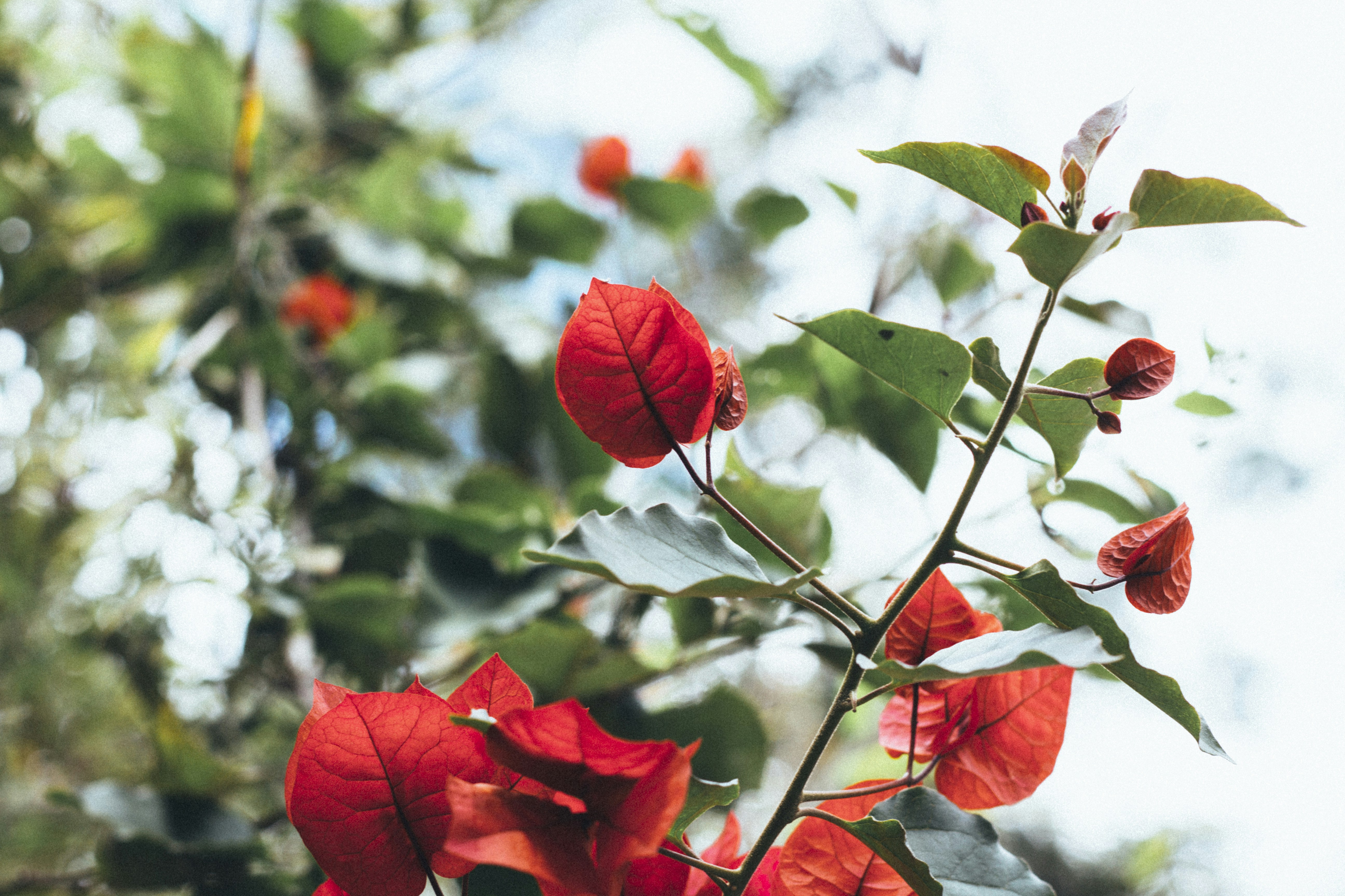 Photo by floristeady