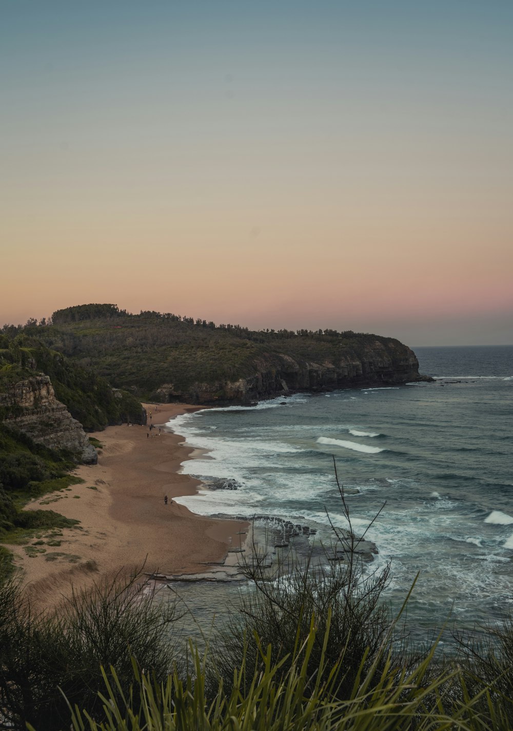 green trees on brown mountain beside sea during daytime