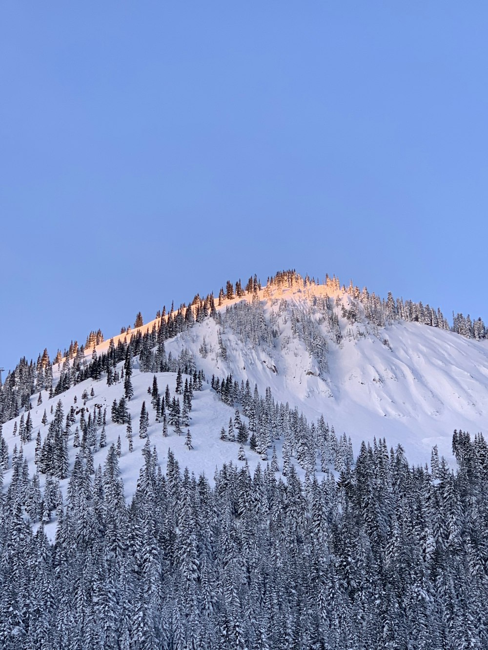 snow covered mountain during daytime