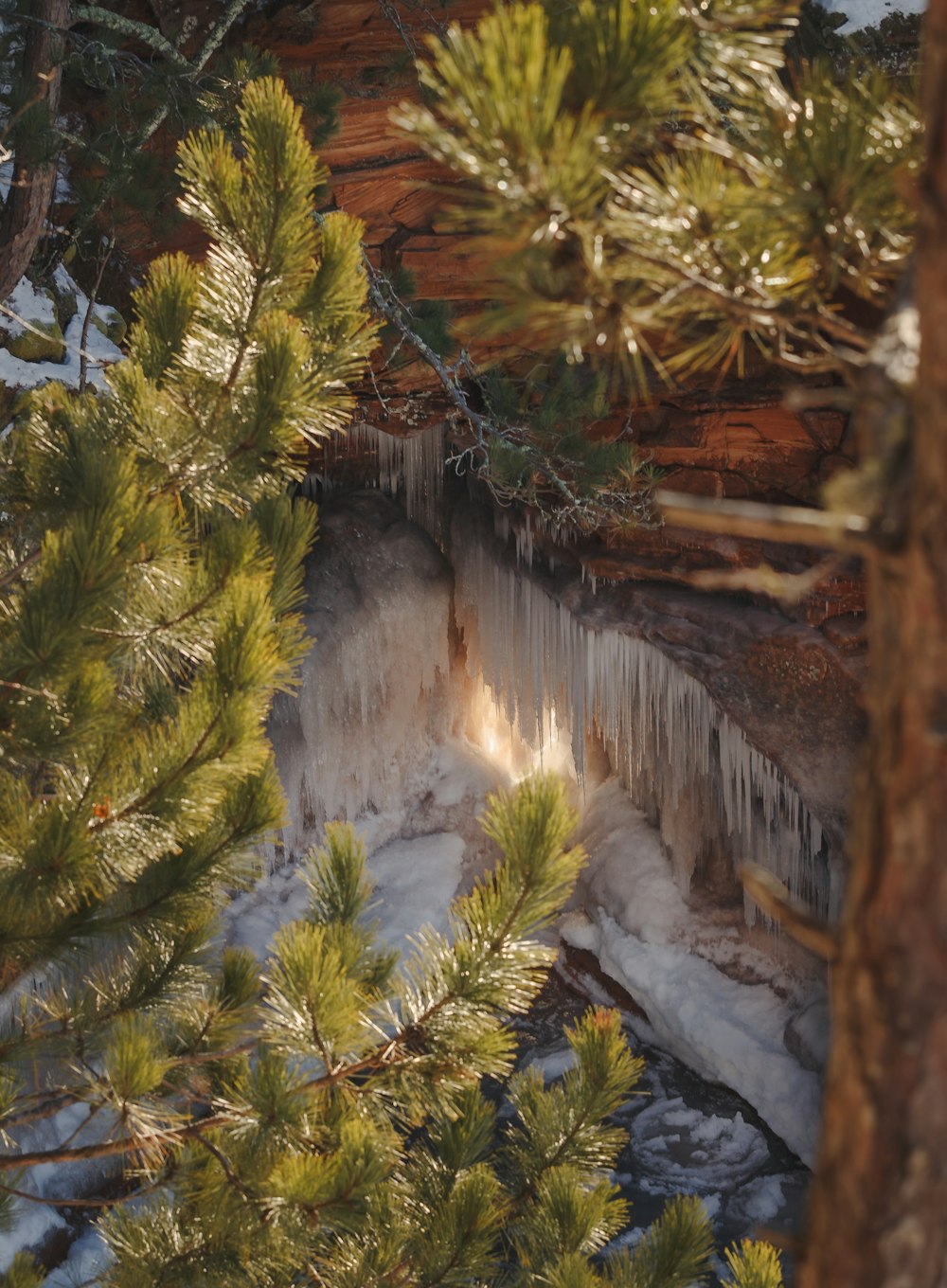 green pine tree near waterfalls during daytime