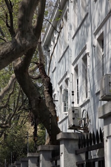 A large tree trunk with twisting branches is situated next to a white building. Shadows of the branches are cast on the building's facade which features multiple rectangular windows. In front of the building, there's a row of concrete pillars topped with dark, pointed metal fencing. An air conditioning unit is attached to the side of the building.