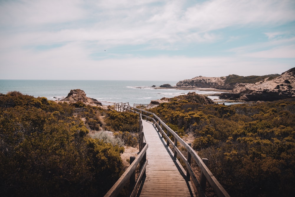 brown wooden bridge on sea during daytime