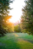 Sunset view over lush green spaces of Zoológico SP with families walking.