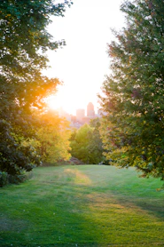 Sunset view over Jackson Park with the Obama Presidential Library in the distance, framed by lush greenery.